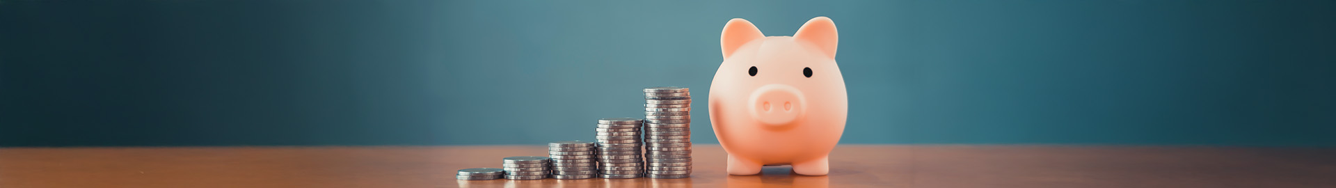 Karulai Service Co-operative Bank Ltd